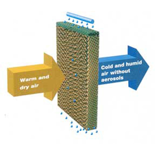 Pannelli umidificazione aria nei refrigeratori adiabatici a circuito chiuso